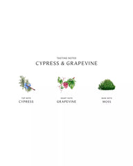 Jo Malone London | Cypress & Grapevine Body & Hand Wash 8.5 oz.