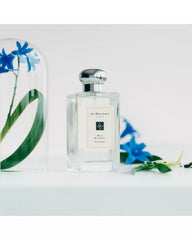 Jo Malone London | Wild Bluebell Cologne 3.4 oz.