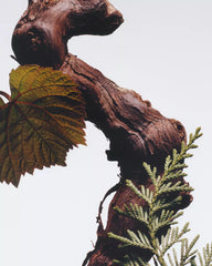 Jo Malone London | Cypress & Grapevine Men's Duo ($290 value)