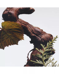 Jo Malone London | Cypress & Grapevine Body & Hand Wash 8.5 oz.