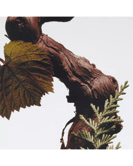 Jo Malone London | Cypress & Grapevine Classic Candle 7 oz.