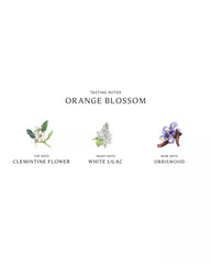 Jo Malone London | Orange Blossom Cologne